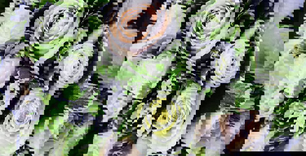 Exclusive Use Wedding Package